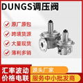 DUNGS調壓閥WF系列1522AF等型號齊全 大量現貨 1