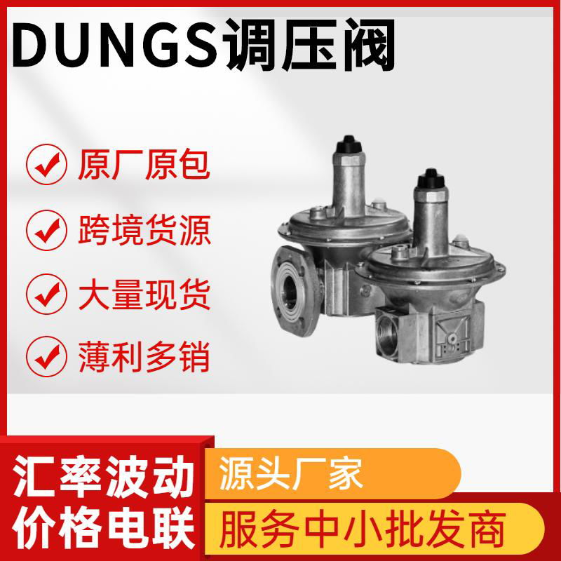 DUNGS調壓閥WF系列1522AF等型號齊全 大量現貨 5