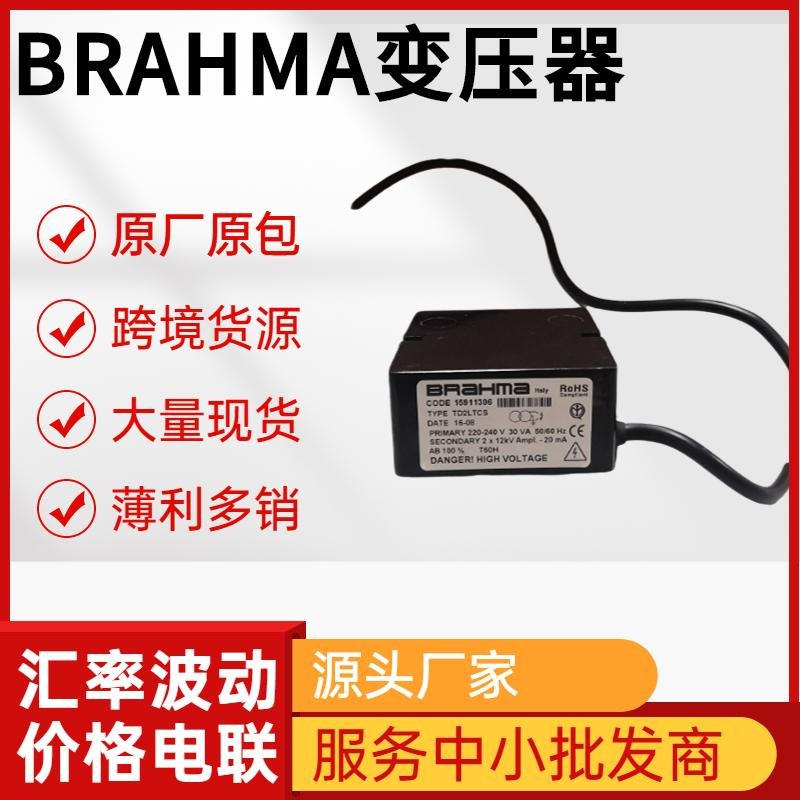 Brahma點火變壓器 L.G.B系列 意大利布拉瑪 3
