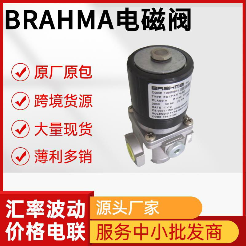 BRAHMA燃氣電磁閥E6G/GVC系列全型號 意大利布拉瑪   5
