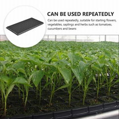 288 Holes Seed Trays      Plastic Seedling Trays Wholesale      