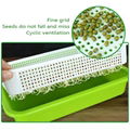 Sprout Growing Trays   Plastic Plant Trays Wholesale      1