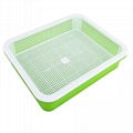 Sprout Growing Trays   Plastic Plant Trays Wholesale      2