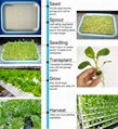 Sprout Growing Trays   Plastic Plant Trays Wholesale      4