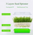 Sprout Growing Trays   Plastic Plant Trays Wholesale      5