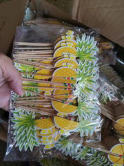 One-time fruit sticks