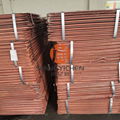 Copper Cathode/Electrolytic Copper