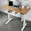 Factory Directly Sale Motorized Sit-stand Office Desk 5