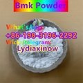 Buy Pmk Powder glycidate BMK oil supplier xinow CAS 5449-12-7/cas 5413-05-8 bmk 2