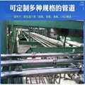 Quick-frozen vegetable liquid nitrogen vacuum tube 5
