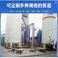 Fruit quick-frozen liquid nitrogen vacuum tube 2