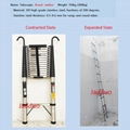 Stainless Steel Single Telescopic Ladder