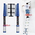 Blue Single Telescopic Ladder 3.8m