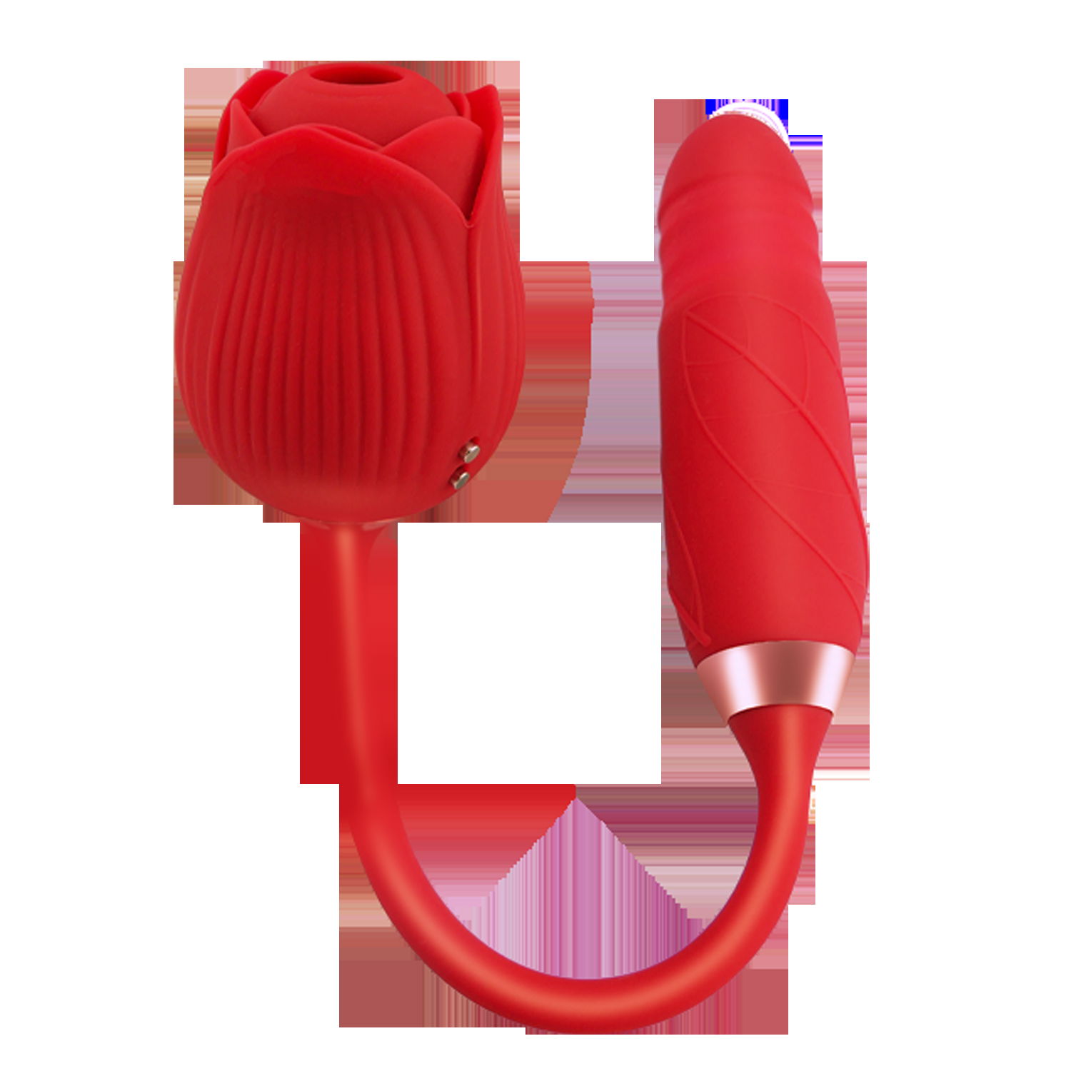 Sex toy 10 vibration modes 10 speeds waterproof   rose vibrator 3