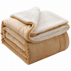 wholesale Super Soft Warm Double Layer heavy plush lamb wool throw blanket thick