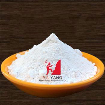 Calcium Carbonate - Heavy and Light      Calcium Carbonate Powder Bulk        2