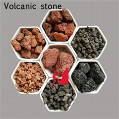 Volcanic Stone (Volcanic Rock or Pumice)      