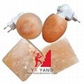 Hymalayan Salt Brick/Particles       High Quality Himalayan Salt         