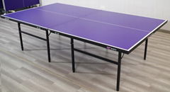 Table Tennis Table