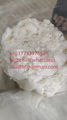 5449-12-7  BMK powder 5