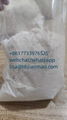 5449-12-7  BMK powder 9