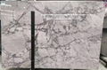 grey Arabescato Corchia,grey dawn,grey marble slab  1