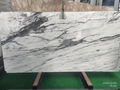 white marble with black veins marble slab for walls