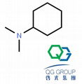 N,N-dimethylcyclohexylamine DMCHA