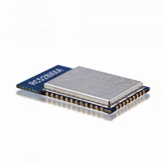 Nordic nRF52810 低功耗高性能蓝牙5.3 BLE串口通信模块 支持二次开发