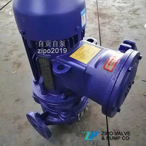 ISG or YG or ISW pipeline pump 3