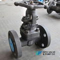 Gate valve 3