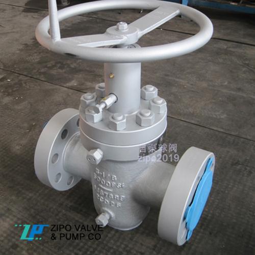 Gate valve 5