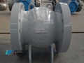 API 6D Non-Slam Axial Flow Check Valve 5