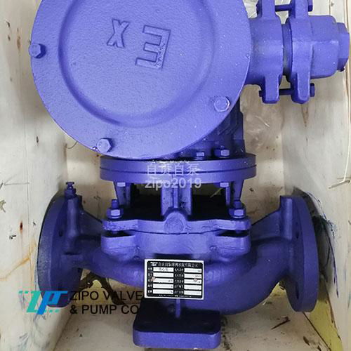 ISG or YG or ISW pipeline pump 2