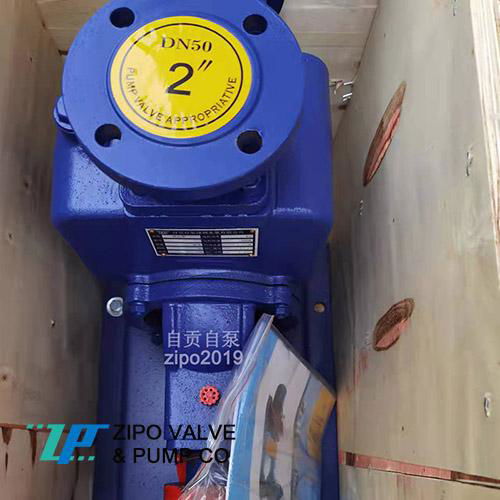 Horizontal or vertical self-priming pump or sewage pump 