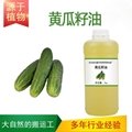 黃瓜籽油 1