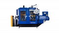 DOUBLE ENDED POLISHING MACHINE