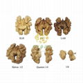 Walnut Kernels      China Walnut kernel Halves Exporter      2