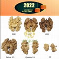 Walnut Kernels      China Walnut kernel Halves Exporter      3