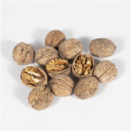 XingFu Walnut Inshell      China Shelled Walnuts Manufacturers     2