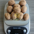 Xin2 Walnut Inshell      New2 walnut     2