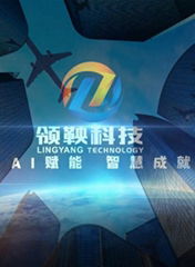 Lingyang Technologies INC