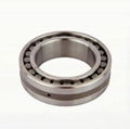 Cylindrical Roller Bearings