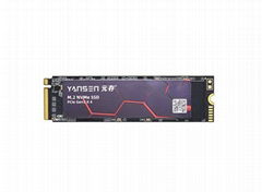 M.2 NVMe 2280 YSNE-X-XXX