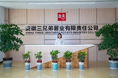Anhui Three Brothers Potato Industry Co., Ltd Anhui Three Brothers Potato Industry Co., Ltd