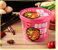 INSTANT RAMEN AND CHONGQING NOODLES 1