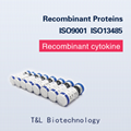 Recombinant Human VEGF165 Protein