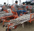 Sugarcane Planter High Planting Efficiency Sugarcane Seeders Transplanters