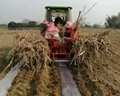 Sugarcane Planter High Planting Efficiency Sugarcane Seeders Transplanters 3