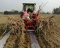 Sugarcane Planter High Planting Efficiency Sugarcane Seeders Transplanters